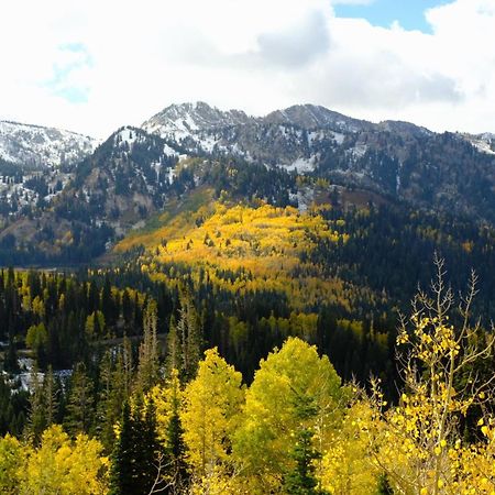 Cottonwood Heights - Lower Level Of Mountain Home! 外观 照片