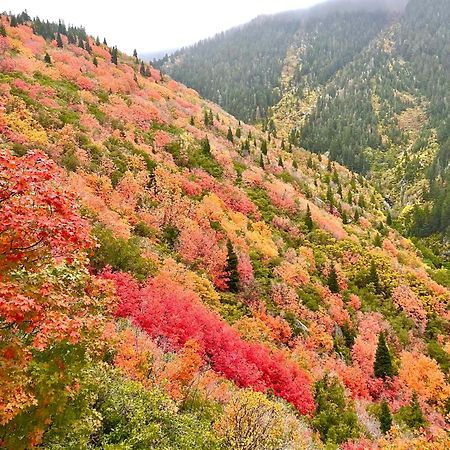 Cottonwood Heights - Lower Level Of Mountain Home! 外观 照片