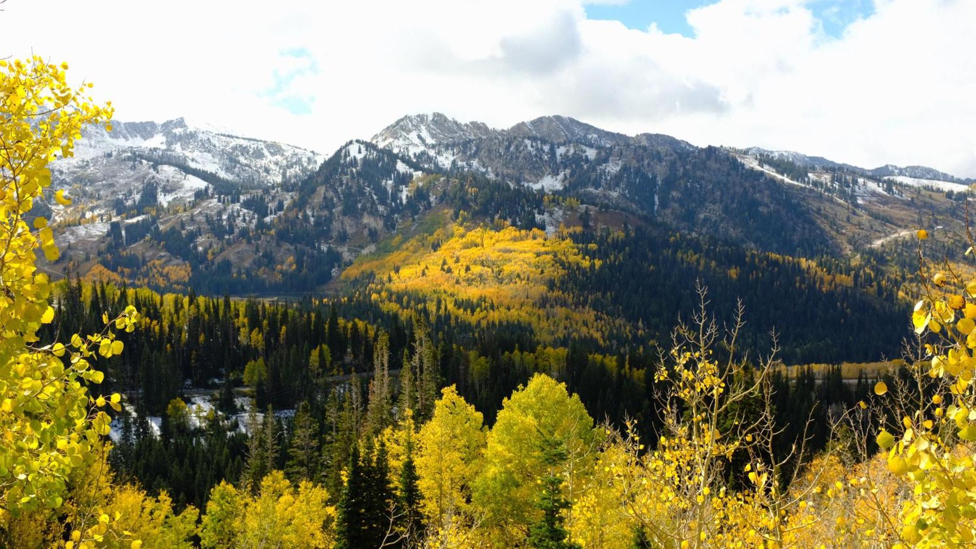Cottonwood Heights - Lower Level Of Mountain Home! 外观 照片